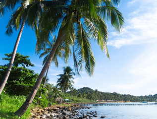 Canvas Print - Green Getaway Jungle Lagoon