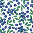 Seamless nature pattern with blueberries.