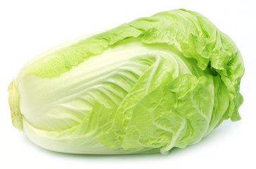 Wall Mural - Fresh Chinese Cabbage