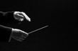 Hands of a conductor isolated on black background, black and