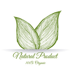 Wall Mural - natural product