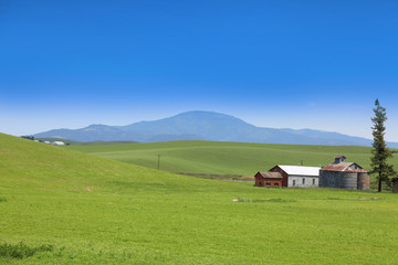 Old barns in the middle of lush green farm