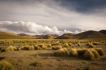 Mountains Of Bolivia, Altiplano