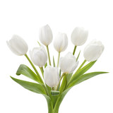Fototapeta Tulipany - White Tulip Bouquet