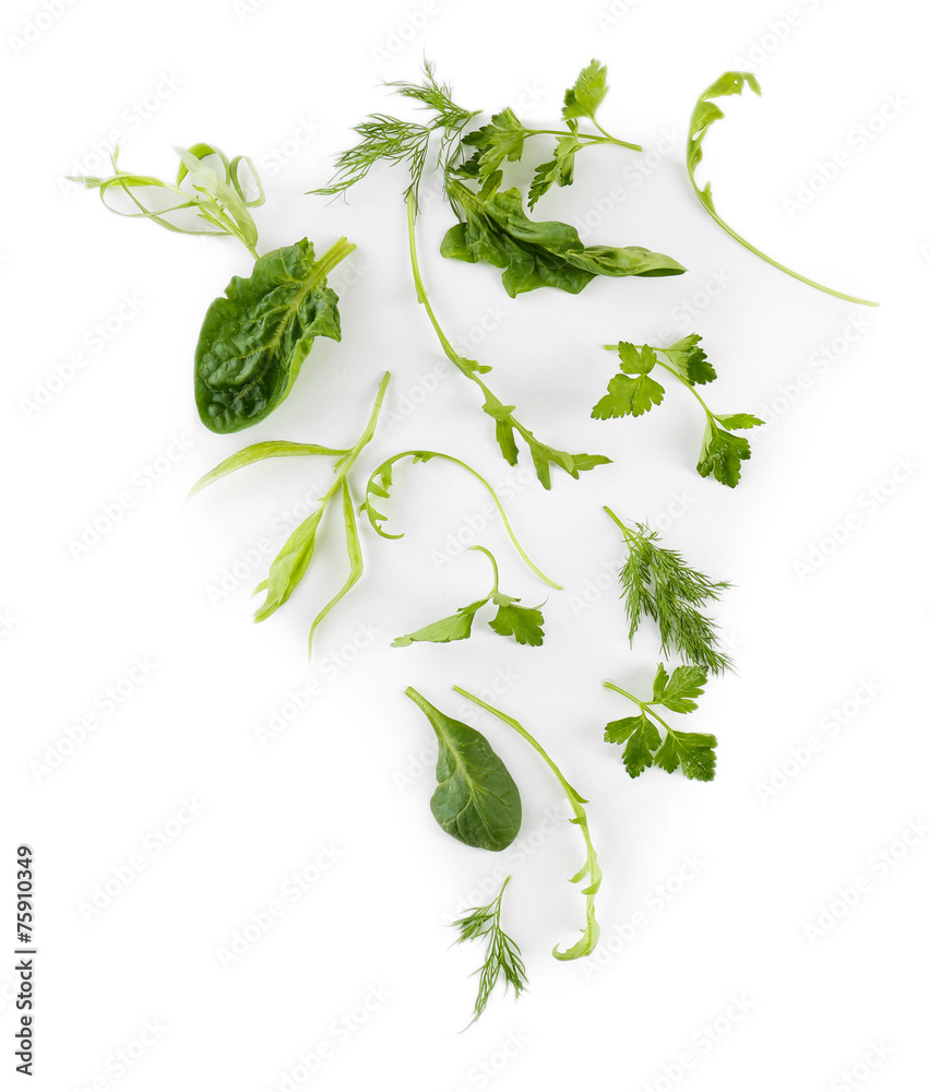 Various of greens isolated on white