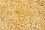 Fototapeta Desenie - Bale roll straw texture background