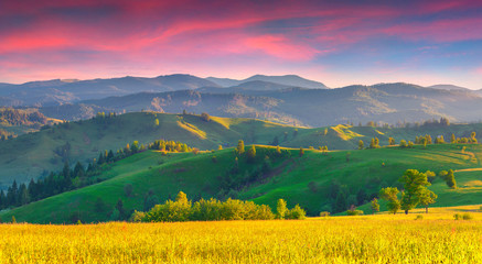 Wall Mural - Colorful summer sunrise in the Carpathian mountains