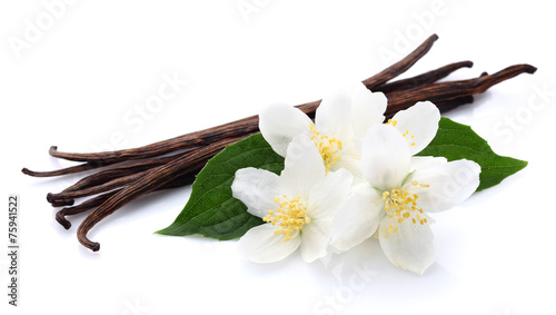 Tapeta ścienna na wymiar Jasmine with vanilla