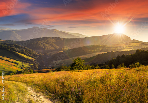 Fototapeta na wymiar path on hillside meadow in mountain at sunset