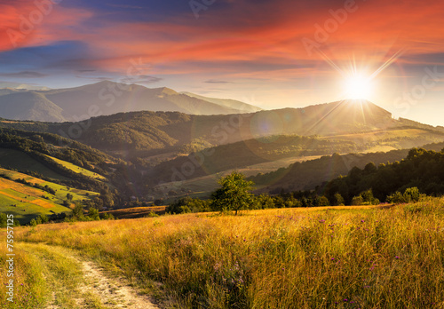 Obraz w ramie path on hillside meadow in mountain at sunset