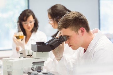 Wall Mural - science student looking through microscope in the lab