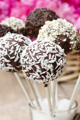 Canvas Print - Chocolate cake pops