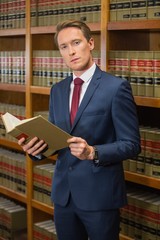 Wall Mural - Handsome lawyer in the law library