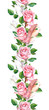 Rose flowers and feathers frame. Seamless border. Water color