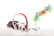 französische Bulldogge hört Musik