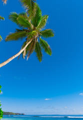 Canvas Print - Bay Panorama Tranquility