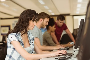 Wall Mural - classmates working in the computer room