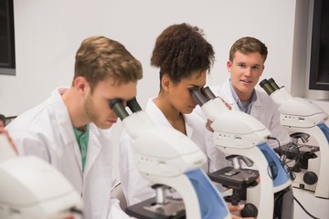 Wall Mural - medical students working with microscope