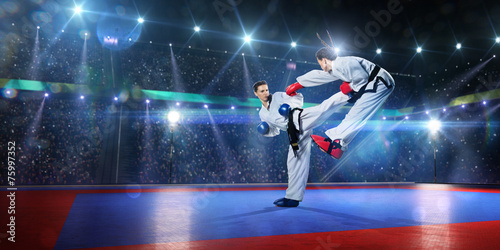 Dekoracja na wymiar  walcza-dwie-profesjonalne-zawodniczki-karate