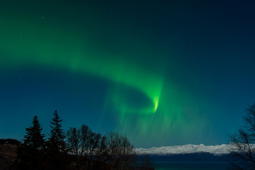 bright green aurora over kachemak bay