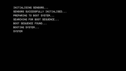computer boot log (bios style)