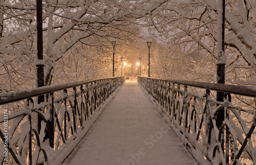 Naklejka dekoracyjna Snow bridge under snow trees branches with street lamps at night