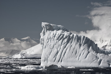 Wall Mural - antarctic iceberg