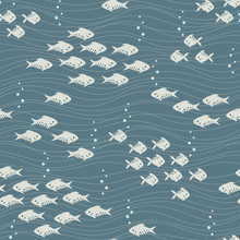 Fish Pattern