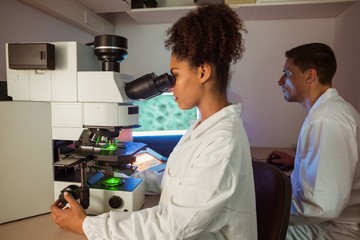 Wall Mural - science students working in the laboratory