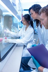 Wall Mural - science students using pipette in the lab