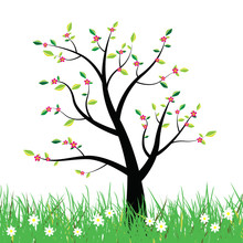 Flowering Spring Tree Illustration Background