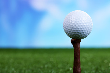 Sticker - Golf ball on green grass outdoor close up