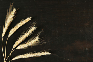 Poster - Spikelets of wheat on black wooden background