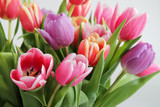 Fototapeta Tulipany - Tulips bouquet