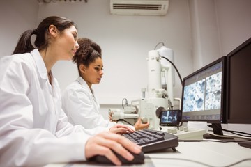 Wall Mural - science students looking at microscopic image on computer