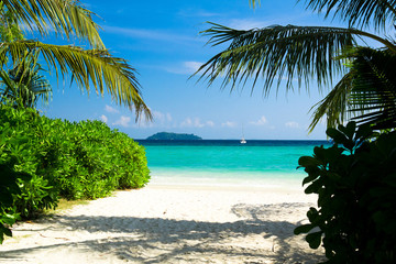 Poster - Under Trees Coconut Getaway