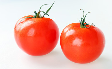 fresh tomatoes