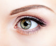 © Serg Zastavkin - Close-up shot of female eye