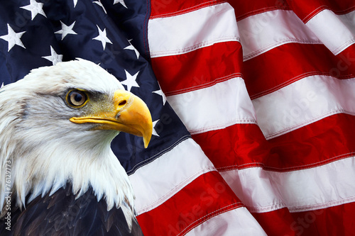 Cuadros en Lienzo North American Bald Eagle on American flag