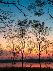 silhouette of dried tree in autumn with sunset background