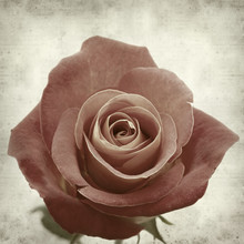 Textured Old Paper Background