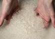 Woman Hands Washing Rice