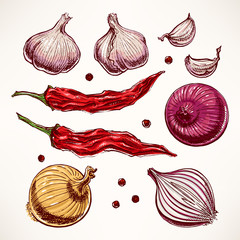 Foto zasłona zbiory wzór vintage pieprz warzywo