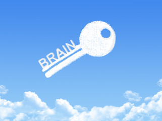 Canvas Print - Key to brain cloud shape