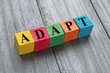 word adapt on colorful wooden cubes