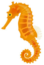 Vector Illustration Of A Sea Horse