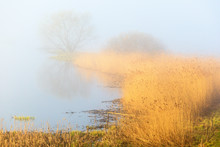 Misty Spring Morning Lake