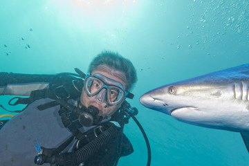 Underwater selfie with Grey shark ready to attack