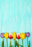 Fototapeta Tulipany - Beautiful flowers on color wooden background