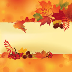 Wall Mural - Autumn frame with leaves. Fall background with copy space.